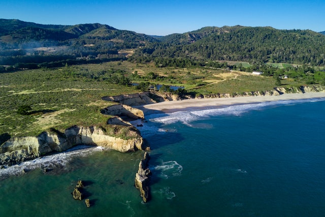 Año Nuevo State Park - Best State Parks In California