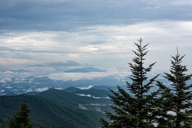  Clingmans Dome - things to do in smoky mountains