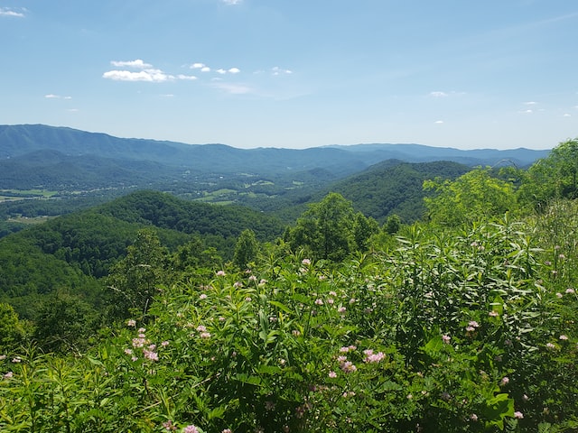 things to do in smoky mountains
- Foothills Parkway