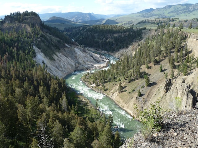 Activities in Yellowstone: Grand Canyon of the Yellowstone