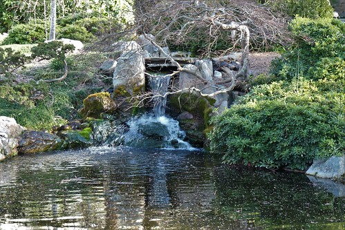 Norfolk Botanical Garden