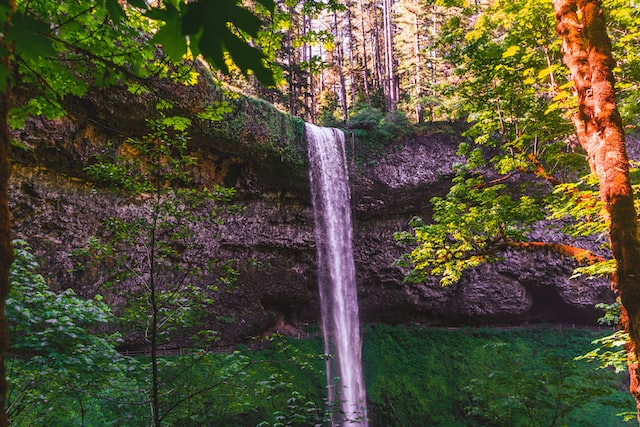 Silver Falls State Park - Campgrounds In Oregon