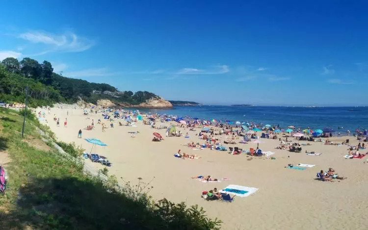 Singing Beach, Massachusetts - Best Beaches in Massachusetts