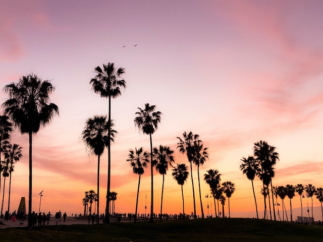 Venice Beach - Best Beaches In California