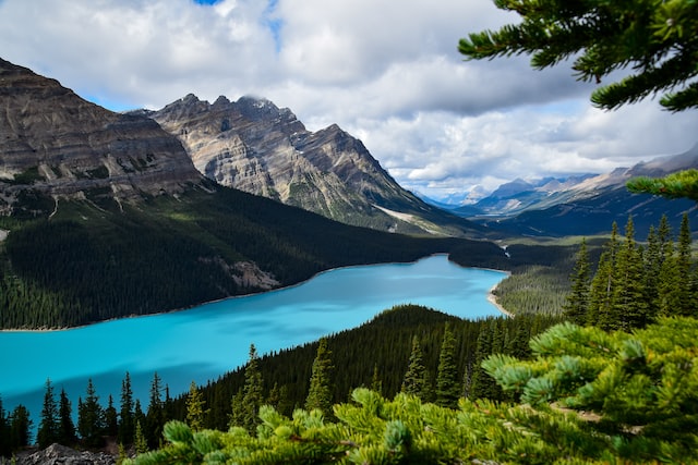 Peyto Lake is a stunning glacier-fed lake in the Canadian Rockies. Experience breathtaking views, explore the surrounding trails, and take in the beauty of this natural wonder.