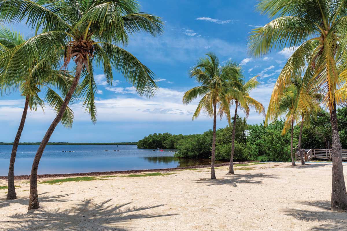 Things to Do in Key Largo with Kids: A Family Adventure Paradise